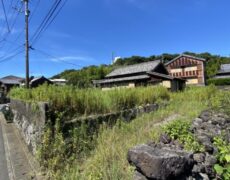 土地全景