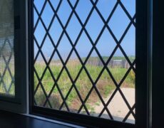 お風呂からの景色 お風呂からの景色