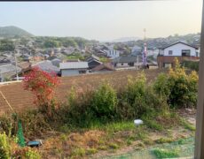 景色③ 景色③